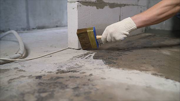 Top rated local Wet Basement Repair specialists in Terrell, TX
